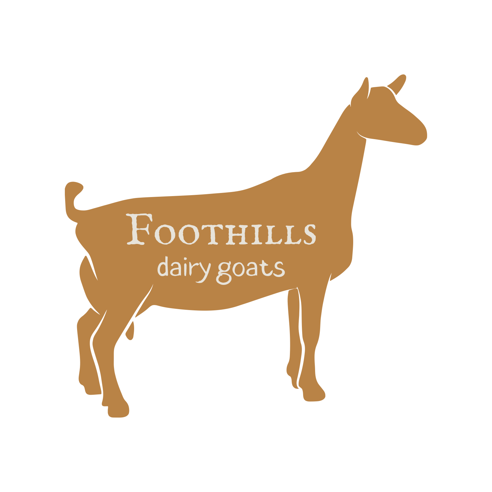 Foothills Dairy Goats